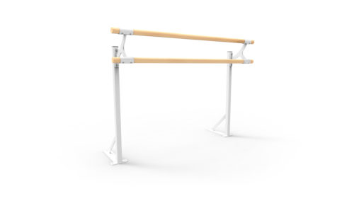 Double floor mount barre and stanchion